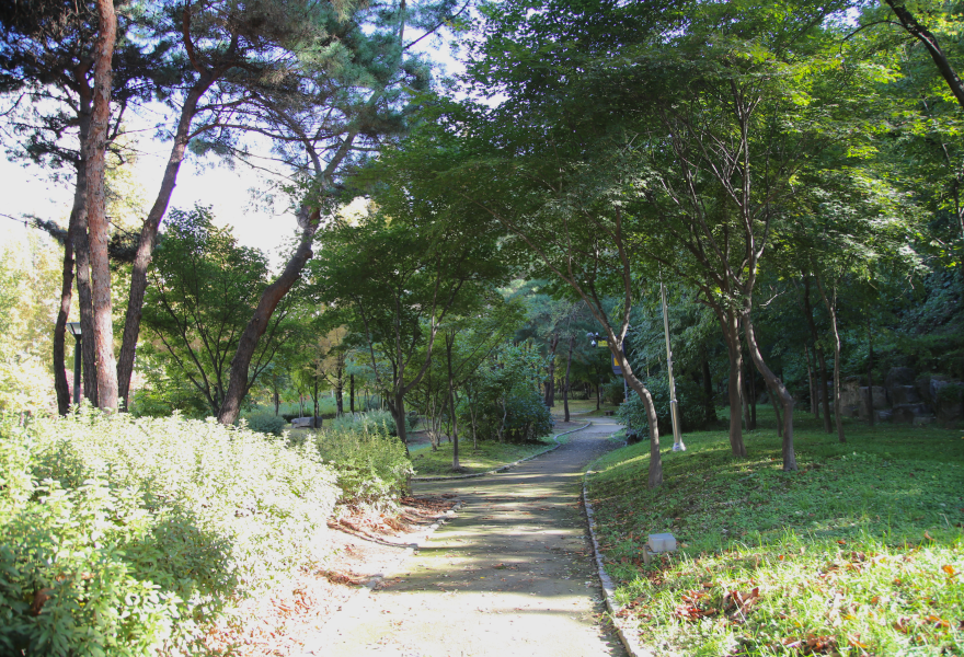 공원 전경